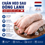 Chân heo sau đông lạnh nhập khẩu Hà Lan