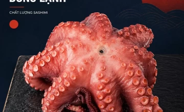 Bạch tuộc Sashimi đông lạnh
