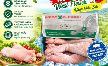 Chân giò heo trước nguyên cái West Fleisch