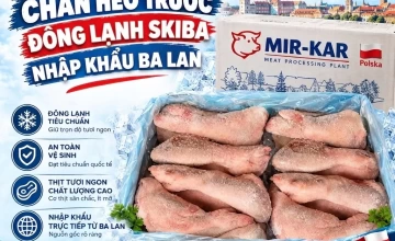 Chân heo trước đông lạnh Skiba nhập khẩu Ba Lan