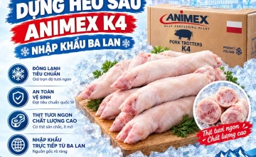 Dựng heo sau Animex K4 nhập khẩu Ba Lan