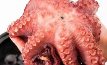 Bạch tuộc Sashimi đông lạnh