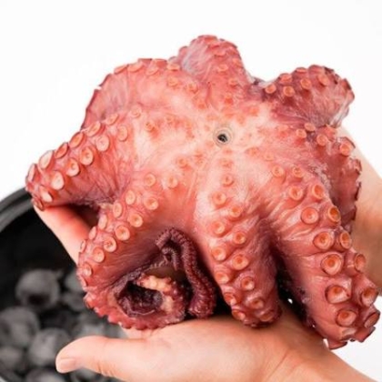 Bạch tuộc Sashimi đông lạnh