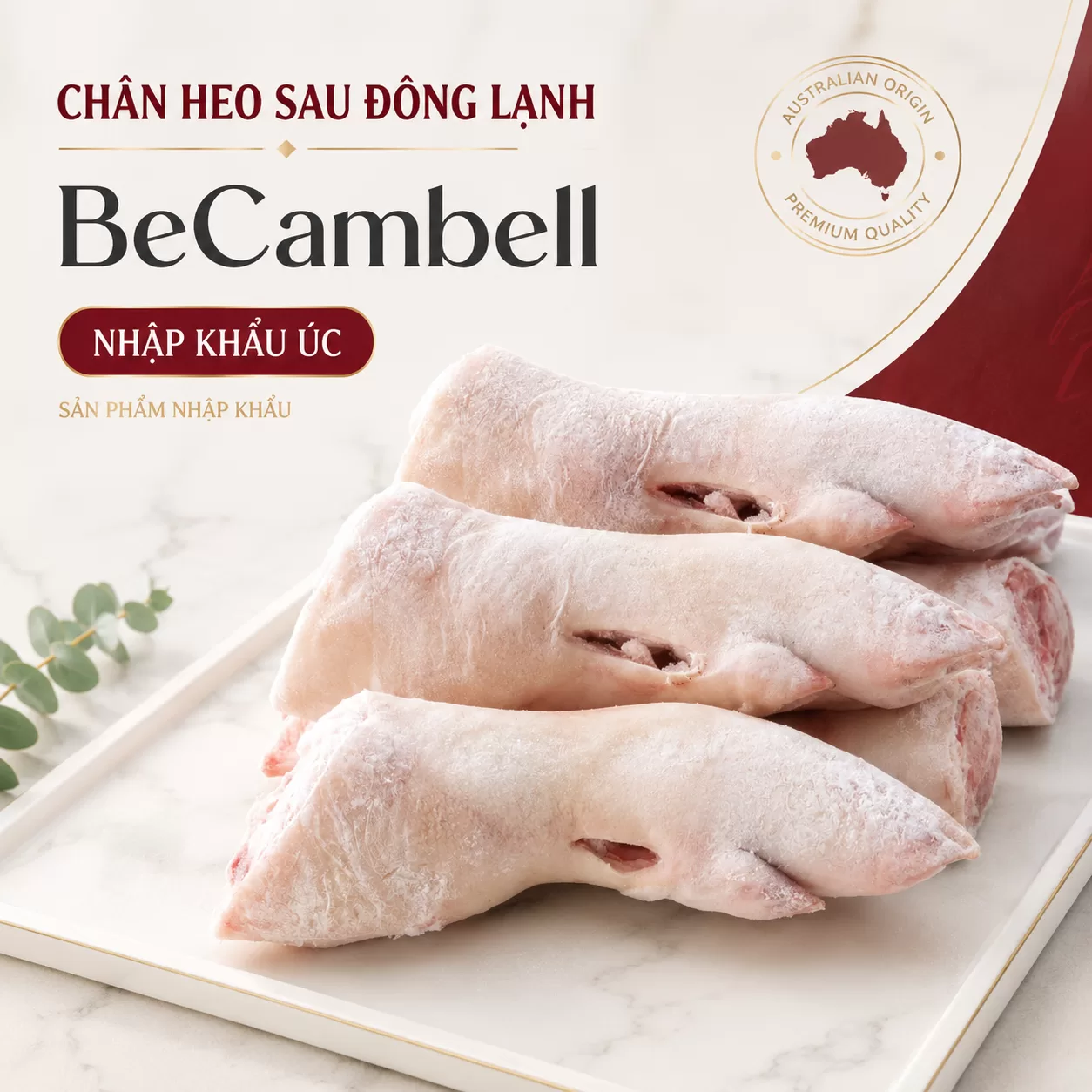 Chân heo sau BeCambell nhập khẩu Úc